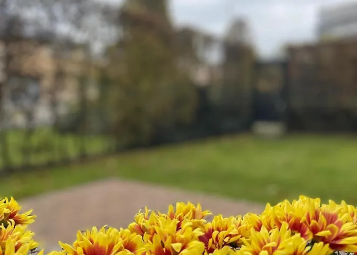 Apartment A Joyful Place *