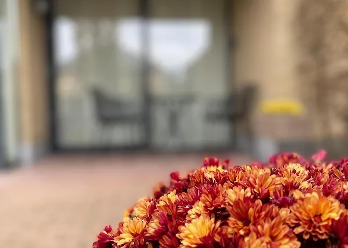 Apartment A Joyful Place *